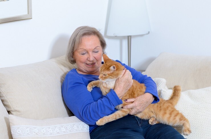 Un'immagine che mostra una scena commovente tra una signora anziana e un gatto.