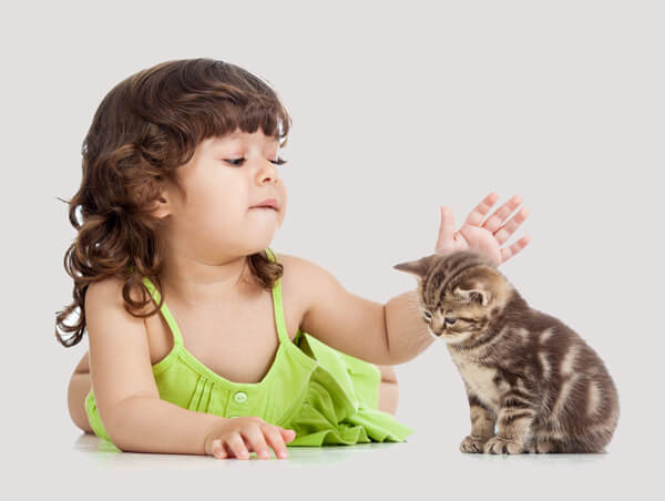 Immagine di un bambino e un gatto impegnati in una tenera interazione.