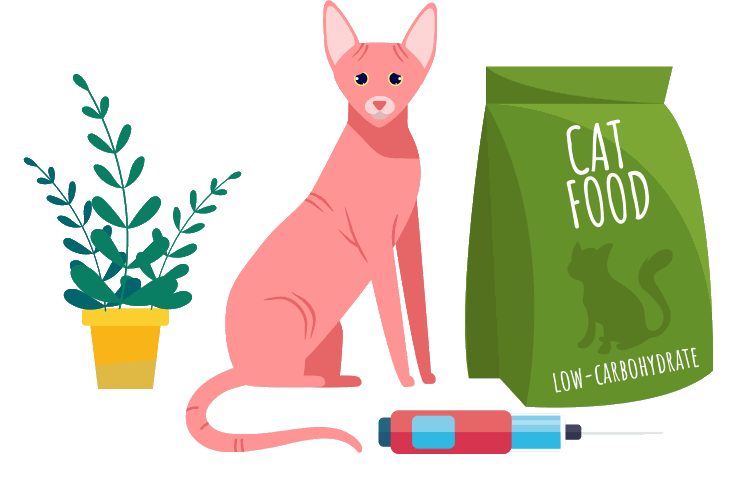 Alimentazione dei gatti con diabete