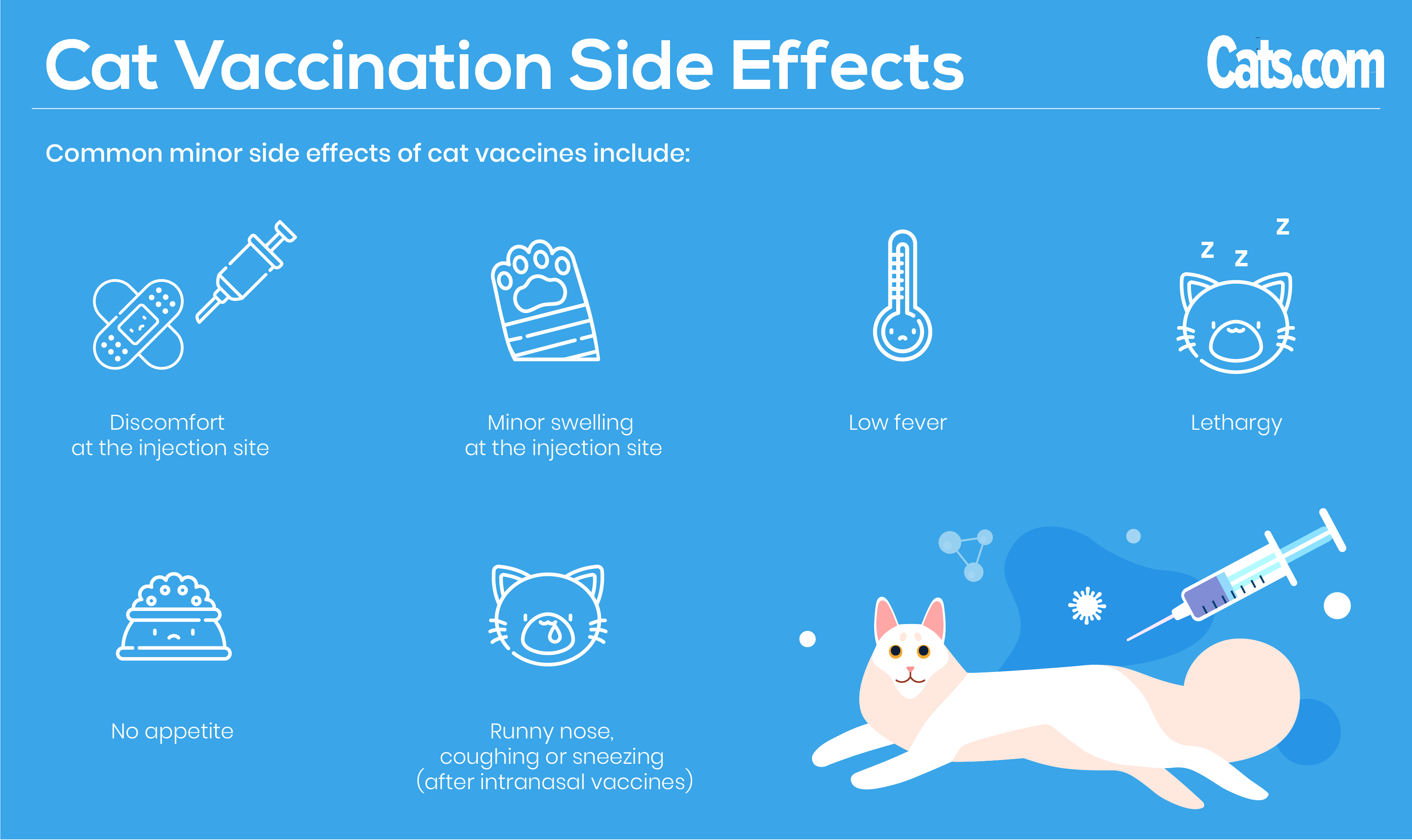 Effetti collaterali della vaccinazione del gatto