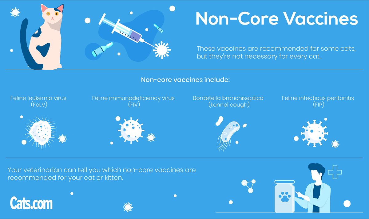 Vaccini non essenziali