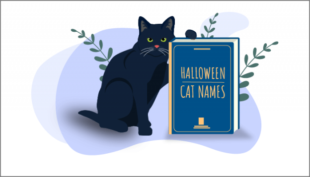 150 nomi di gatti più popolari a tema Halloween