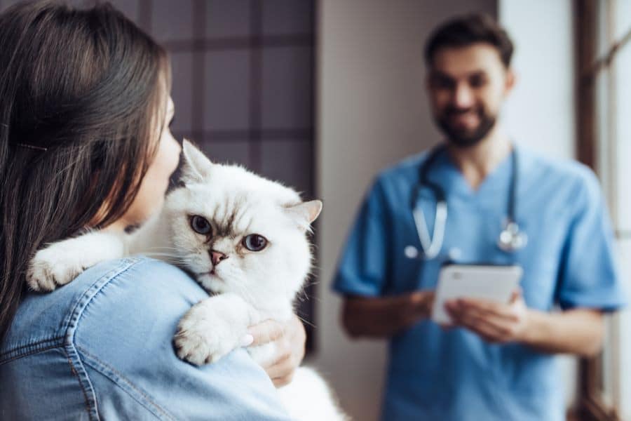 Donna che tiene in braccio un gatto durante un controllo veterinario