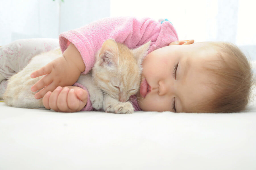 Un'immagine commovente che ritrae un bambino e un gatto insieme, catturando un momento di tenerezza tra i due compagni.