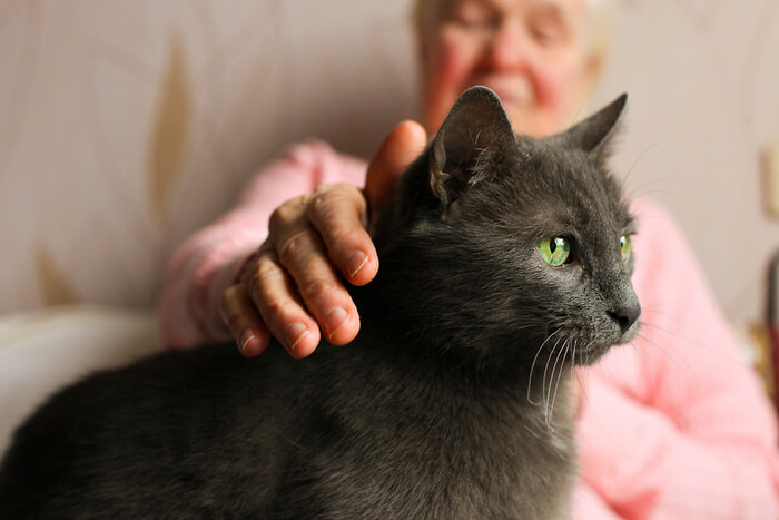 Una donna anziana che accarezza un gatto grigio.