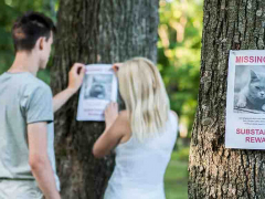 An image depicting a worried person holding a 'Lost Cat' flyer, possibly searching for a missing feline companion.