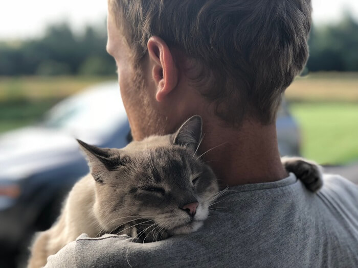 Un'immagine emotiva che ritrae una persona seduta e un gatto posizionato vicino, visibilmente triste.