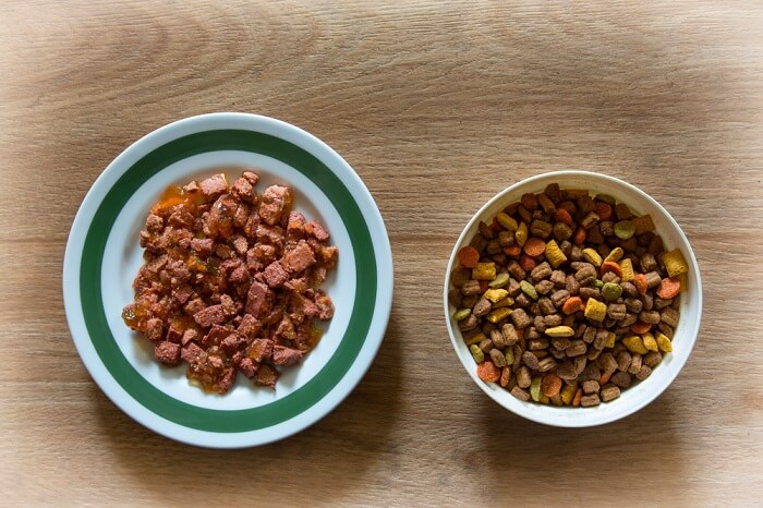 Piatti di cibo umido e secco per gatti