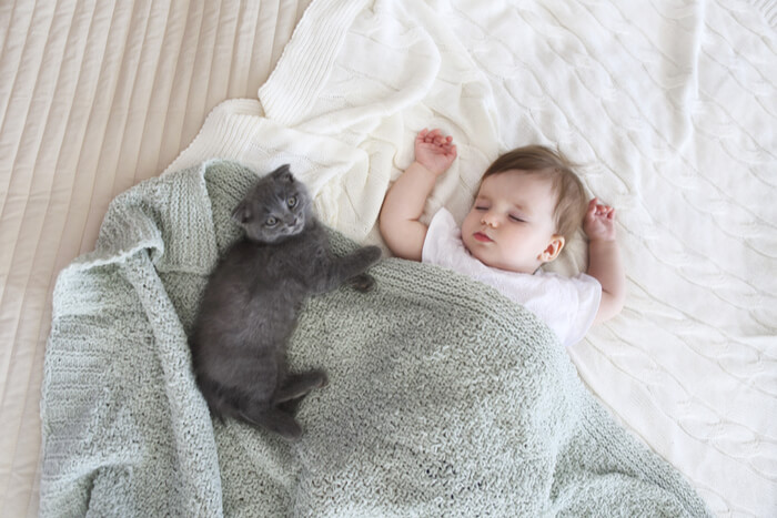 Bambino che fa un pisolino con il gattino