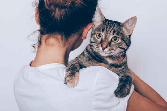8 Cose da sapere prima di adottare un gatto