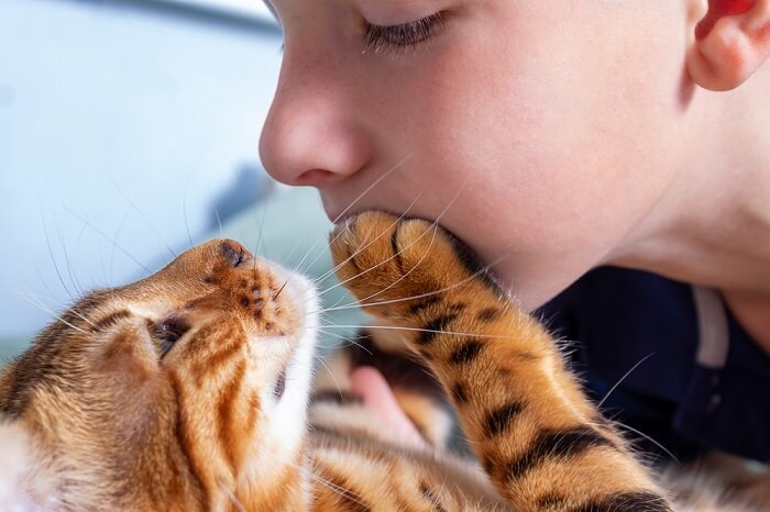 Bambino con gatto bengala