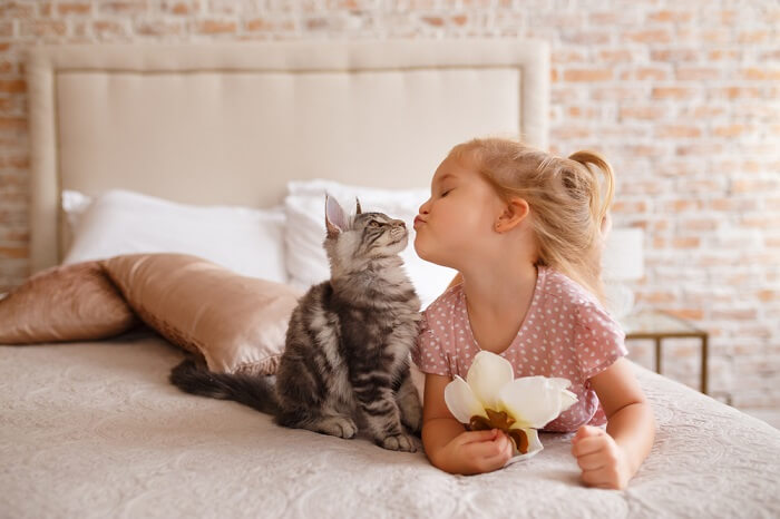 Un'immagine che ritrae una ragazza che interagisce con un gatto.