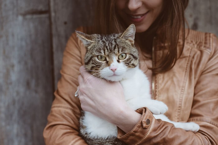 Adottare un gatto FeLV-positivo