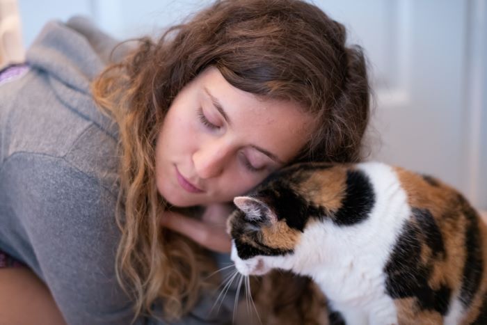 gatto che interagisce con l'umano