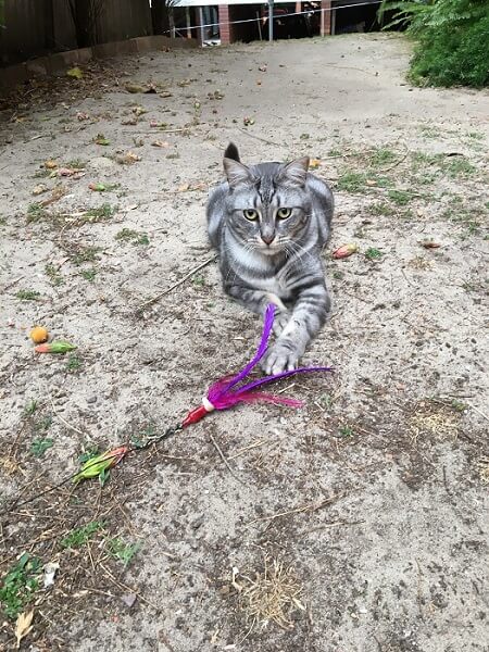 Jose Miguel gioca con Da Bird nel giardino