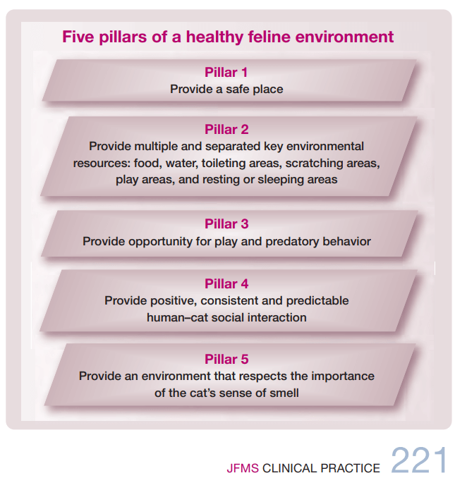 Cinque pilastri di un ambiente felino sano JFMS