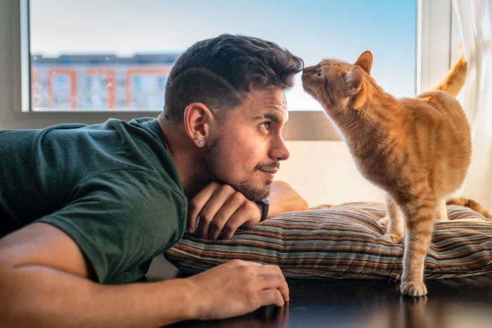 gatto che annusa i capelli dell'uomo