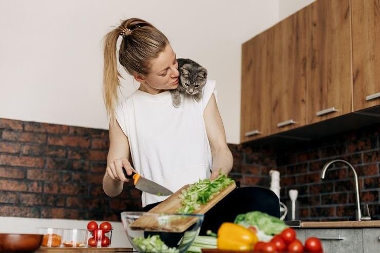 Tieni i gatti lontani dai banconi: un gatto sulla spalla di una donna in cucina