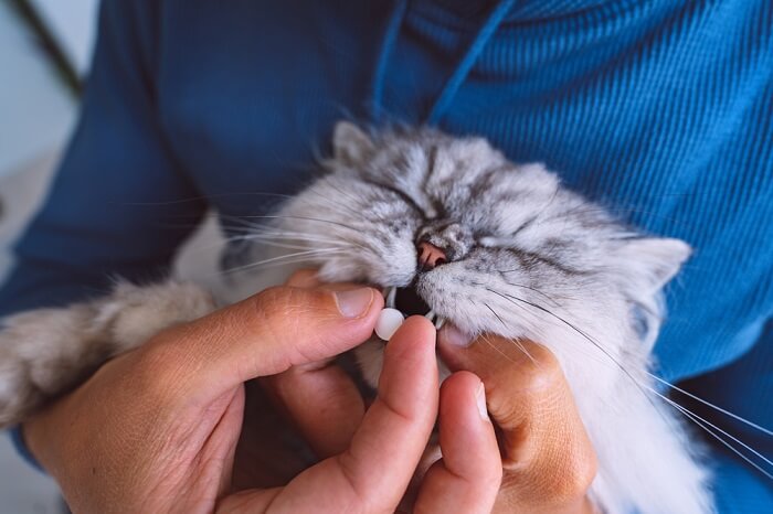 Fluoxetina per gatti dosaggio