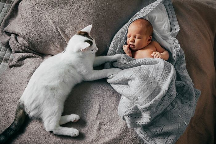 Un'immagine che raffigura un momento commovente tra un bambino e un gatto.