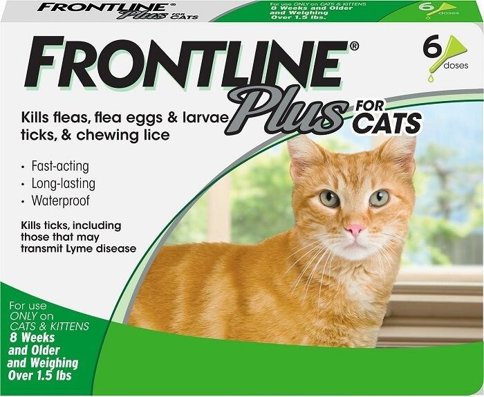 Frontline Plus per gatti: panoramica, dosaggio ed effetti collaterali