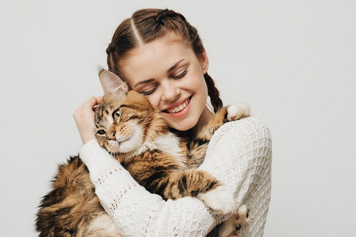 Si svolge una scena commovente in cui un gatto viene abbracciato dolcemente da un paio di mani amorevoli.