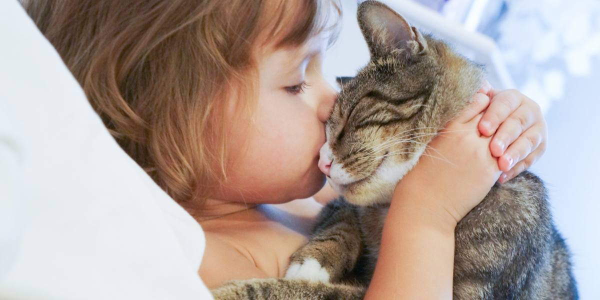 Immagine di un bambino che bacia affettuosamente un gatto, simbolo di un momento commovente di compagnia e fiducia tra umani e amici felini.