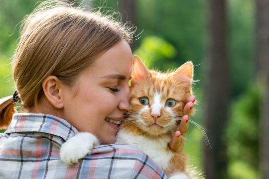 Nuovo studio suggerisce che i proprietari di gatti amano i loro gatti più dei loro partner