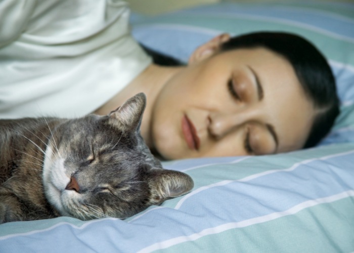 Immagine di una donna che dorme pacificamente con il suo gatto, a dimostrazione del conforto e dell'affetto che i gatti possono portare ai loro compagni umani.