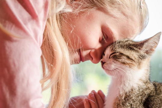 5 Modi per creare un legame più forte con il tuo gatto
