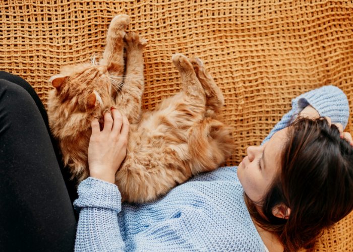 Un'immagine che ritrae una donna e un gatto arancione in un momento commovente.