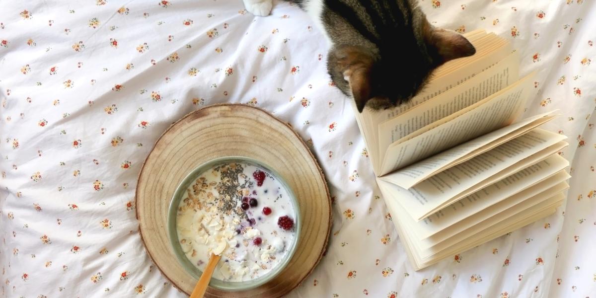 Un gatto comodamente adagiato su un letto accanto a una ciotola di farina d'avena e un libro, creando una scena accogliente e affascinante