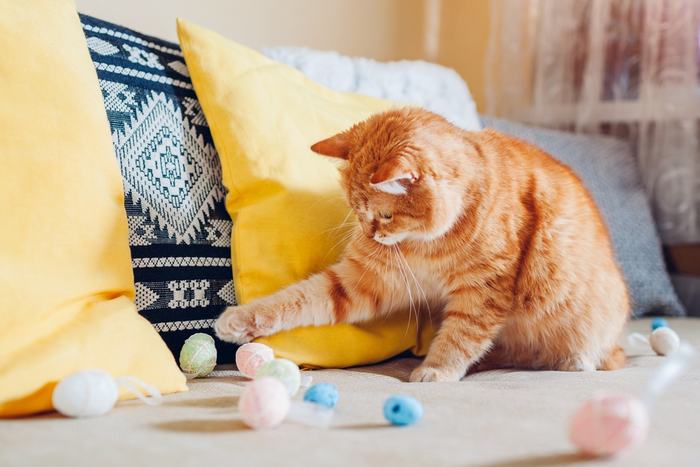 Un'immagine che ritrae un gatto rosso impegnato in un comportamento giocoso.