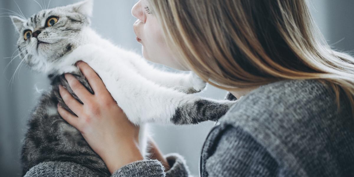 Immagine di un gatto meno affettuoso, che mostra un comportamento più riservato e mette in risalto la vasta gamma di personalità riscontrabili tra i compagni felini.