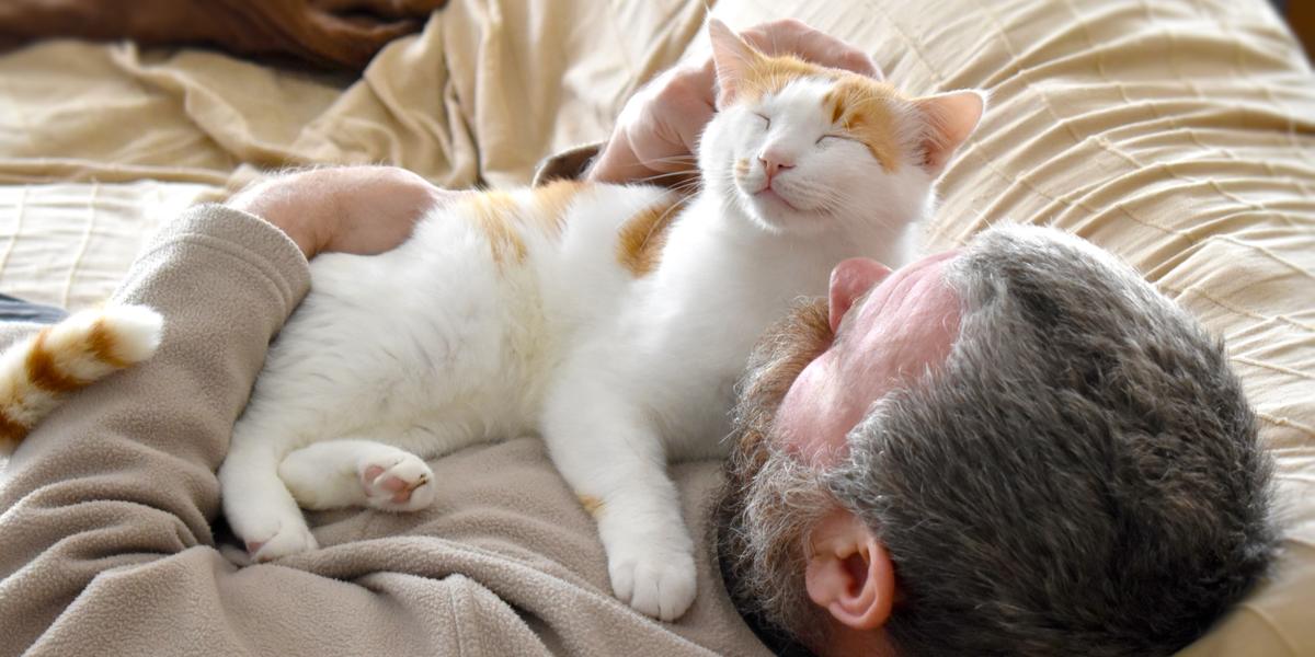 Immagine di un gatto sdraiato sul petto di una persona, che evidenzia il comportamento affettuoso e lo stretto legame tra i gatti e i loro compagni umani.