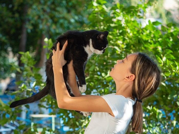 Guarda direttamente negli occhi un gatto attento e vigile.