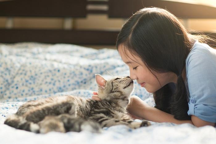 Un'adorabile immagine di un bambino e un gatto che condividono un momento delizioso.