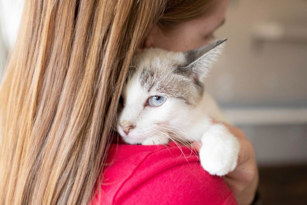 Immagine di una donna che abbraccia calorosamente il suo gatto, raffigurante un momento commovente di affetto e legame tra la proprietaria di un animale domestico e il suo compagno felino.