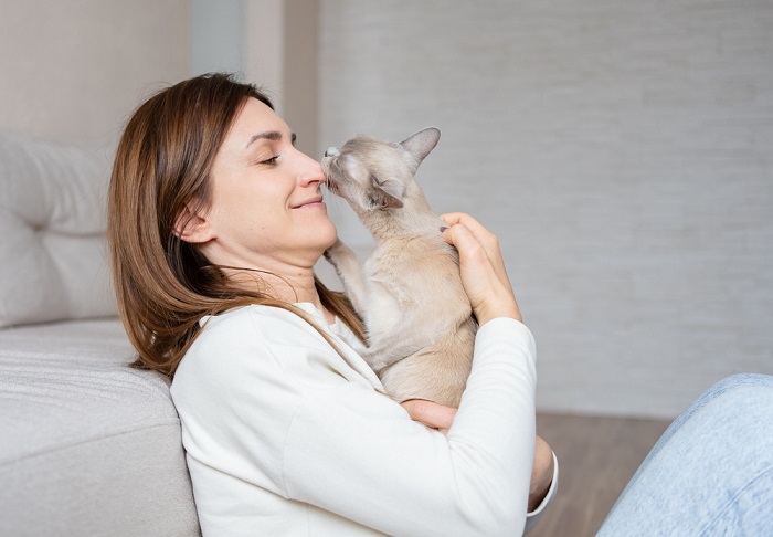 Immagine che mostra l'affetto tra una persona e un gatto, evidenziando un'interazione tenera e toccante che mette in risalto il legame tra uomo e felino.