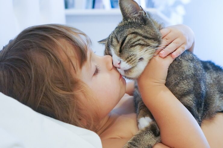 Un gatto che si strofina il muso contro una superficie.