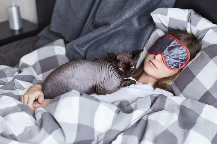 Un adorabile gatto grigio e bianco si è accoccolato comodamente, cercando sicurezza e intimità nell'ambiente circostante.