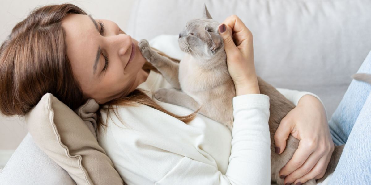 Un gatto curioso e affettuoso è accoccolato sul petto di una persona e i suoi occhi luminosi riflettono la sua natura giocosa.