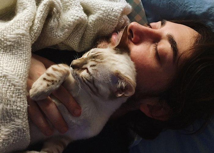 Un uomo e il suo gatto dormono pacificamente uno accanto all'altro.