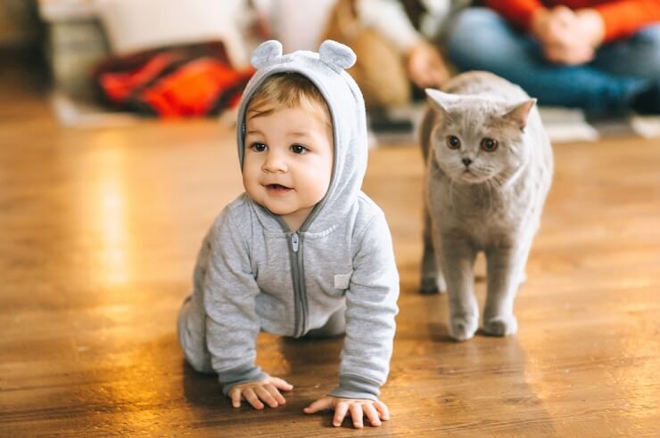 Una commovente immagine di un bambino con un gatto, che illustra il legame toccante e dolce tra i due.