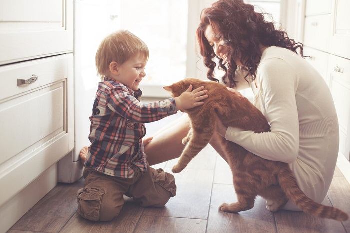 Un'immagine commovente che ritrae un gatto e un bambino che condividono un momento commovente.