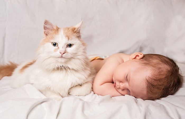 Un gatto vigile che veglia con sguardo protettivo su un neonato che dorme pacificamente.