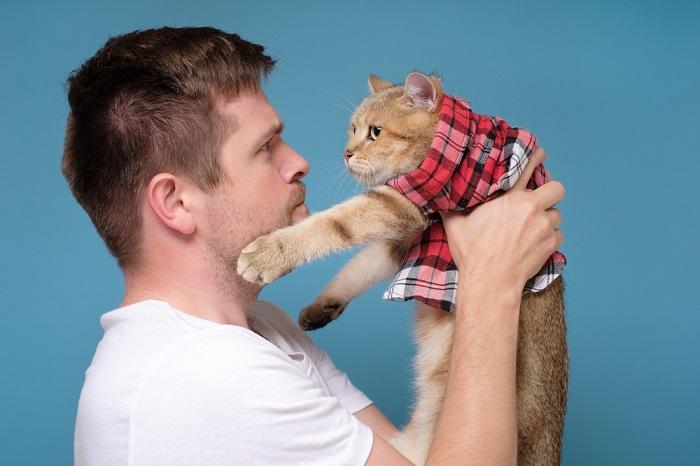 Foto di un ragazzo che tiene in braccio un gatto rilassato e soddisfatto: entrambi trasmettono un senso di armonia e amicizia nel loro momento condiviso.