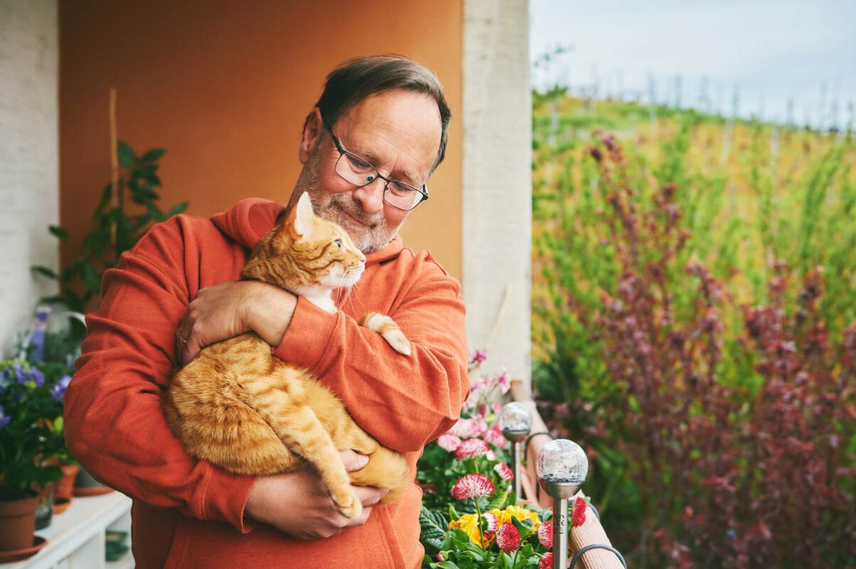 Foto di un marito con un gatto in braccio, a dimostrazione di una commovente dimostrazione di compagnia e cura tra un proprietario di un animale domestico e il suo amico felino.