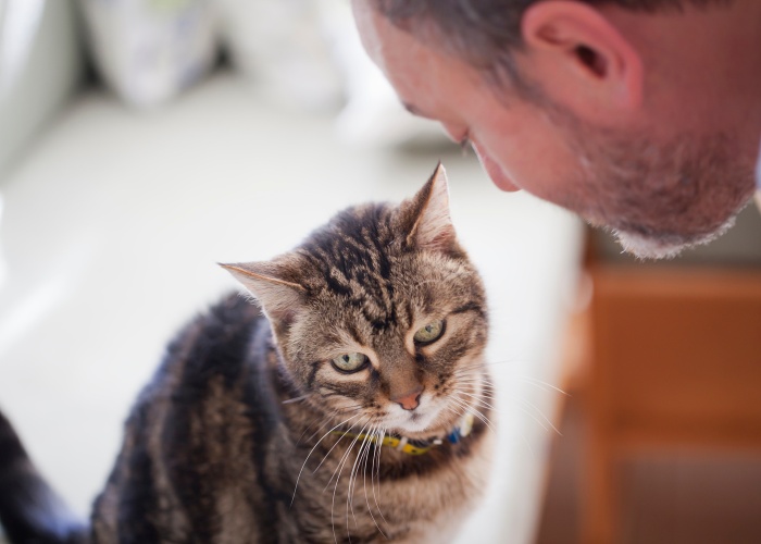 Immagine di un uomo che condivide un momento tenero e affettuoso con il suo gatto, a dimostrazione del legame dolce e amorevole che si è instaurato tra loro.