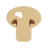 Funghi